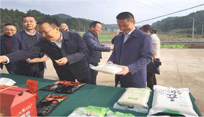 市委常委、政法委書記劉波濤帶隊(duì)調(diào)研指導(dǎo)定點(diǎn)幫扶村鄉(xiāng)村振興工作